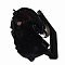 product-img-nav